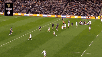 6 Nations Rugby GIF by Guinness Six Nations