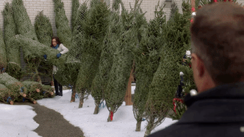 countdown to christmas GIF by Hallmark Channel