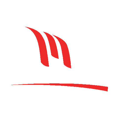 Sticker by Mendes Veiculos