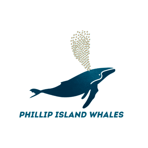 Island Whales Sticker by Visit Phillip Island