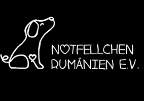 Notfellchen Rumänien e.V. GIF