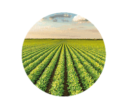 lucasdovalego Sticker