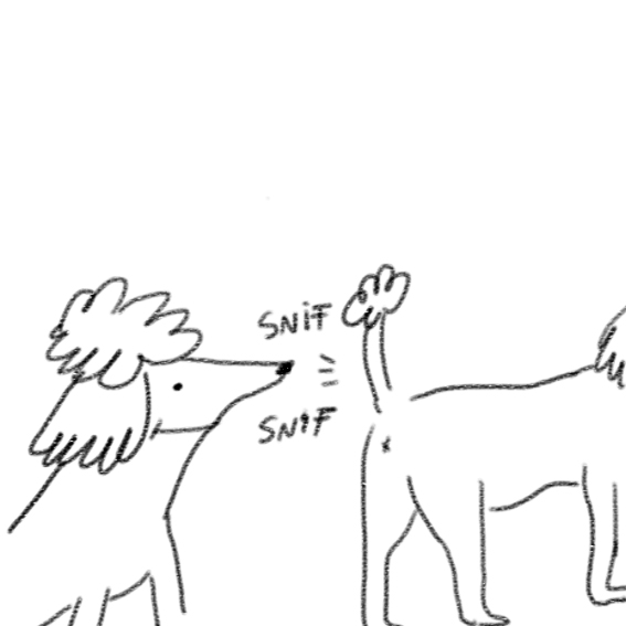 Sniffarmpit GIFs Get the best GIF on GIPHY