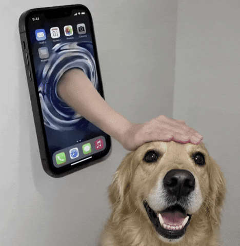 Dog Phone GIF