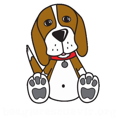 Rescue Adopt Sticker by Beagle Freedom Australia