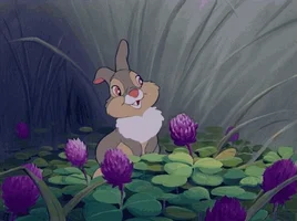 baby animal bunny GIF by Disney