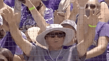 Excited James Madison GIF by NCAA Championships