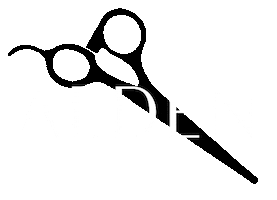AEDEN Sticker