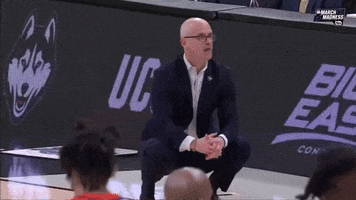 Crouching Uconn Huskies GIF by NCAA March Madness