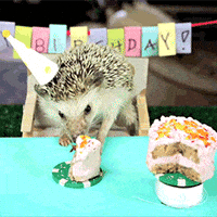 happy birthday GIF
