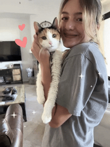 Cat Love GIF