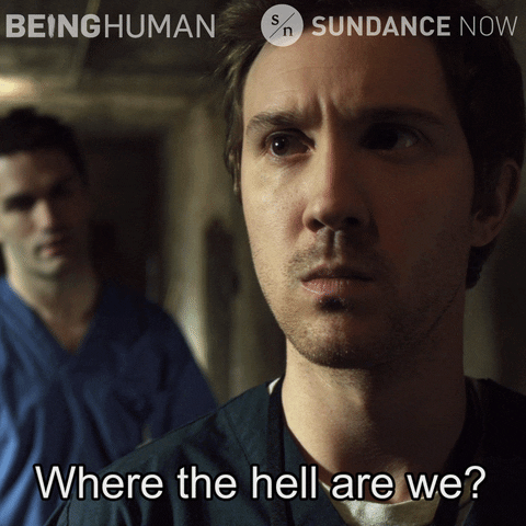 Confused What The Hell GIF by Sundance Now