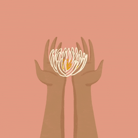 livingsketches flower flowers give giving GIF