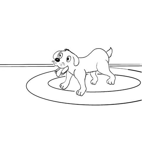 Excited Dog GIF