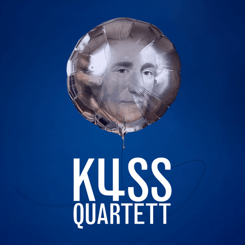 KussQuartett classicalmusic haydn stringquartet kussquartet GIF