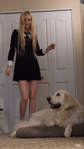 Girl And Dog GIF