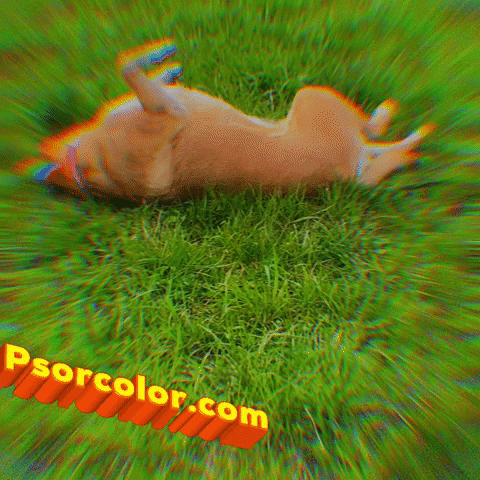 psorcolor GIF