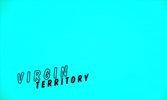virgin territory GIF by mtv