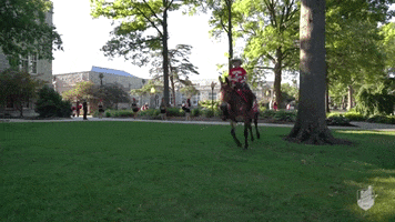 Mules GIF by University of Central Missouri