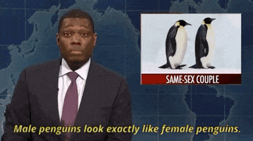 200.gif?cid=fc005b088606aac572e599adf46d7929952b6c66dc7d35bf&rid=200.gif&ct=g