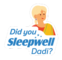 Did you Sleepwell? Sticker