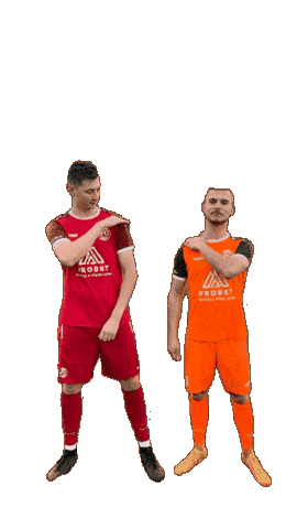 Goal Team Sticker by sgschneifel