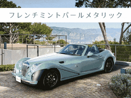 Car Love GIF by Mitsuoka Motor