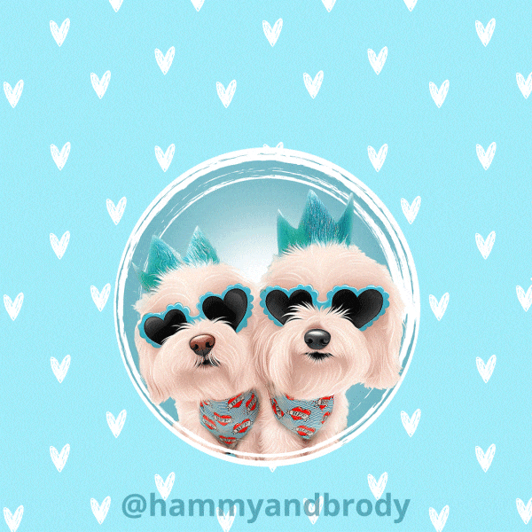 Puppy Love Dog GIF by HammyandBrody