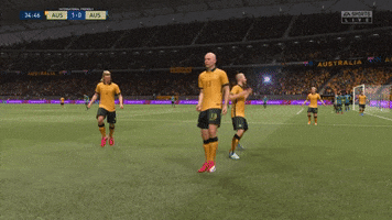 Celebrate Aaron Mooy GIF by Football Australia