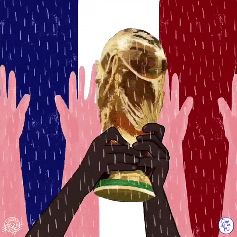 France Football GIF by Camdelafu
