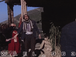 Wael GIF