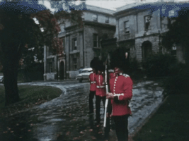 foot guards vintage GIF by McGill University
