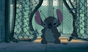 lilo & stitch dog GIF by Disney