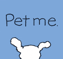 dogs pet me GIF by Chippy the Dog