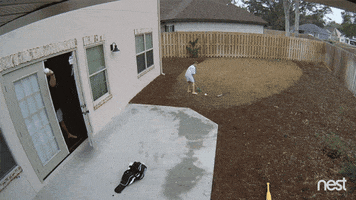 fail bad timing GIF by Nest