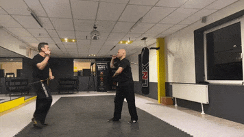 Kampfkunstschule-SoWi GIF