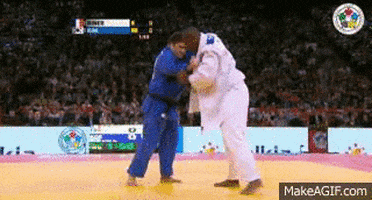 judo success GIF