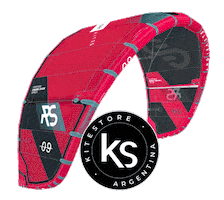 Rs Eleveight Sticker by Escuela Argentina de Kitesurf