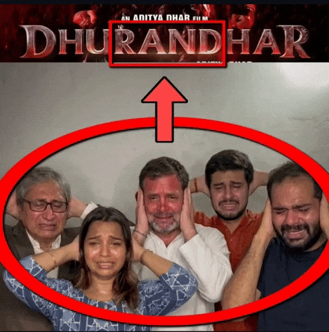 German Shepherd India GIF