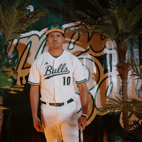 South Florida Baseball GIF by USF Athletics