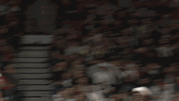 Hands Up Sport GIF by Miami HEAT