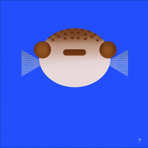 Fun May GIF