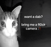 Dab Puffco GIF