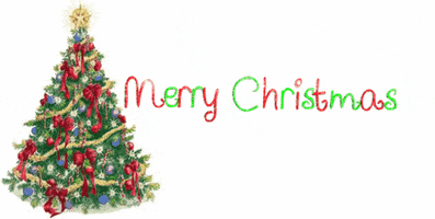 merry christmas GIF