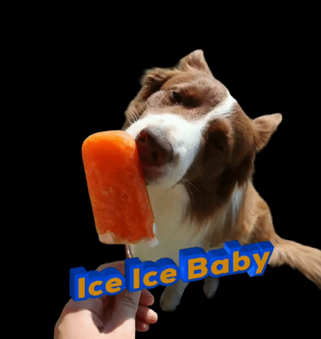 glueckscord ice ice baby GIF