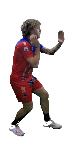 GFCA Handball Sticker