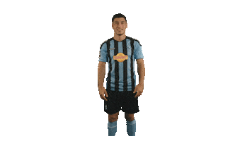 Tor Russo Sticker by SV Waldhof Mannheim