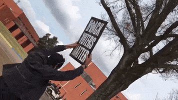 Protest Voting GIF by Black Voters Matter Fund