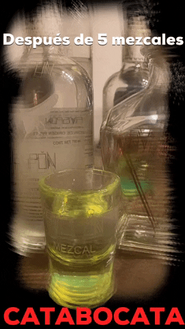 Fiesta Drinks GIF by CATABOCATA