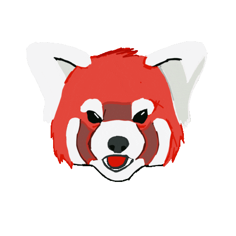 Red Panda Sticker For Ios Android Giphy